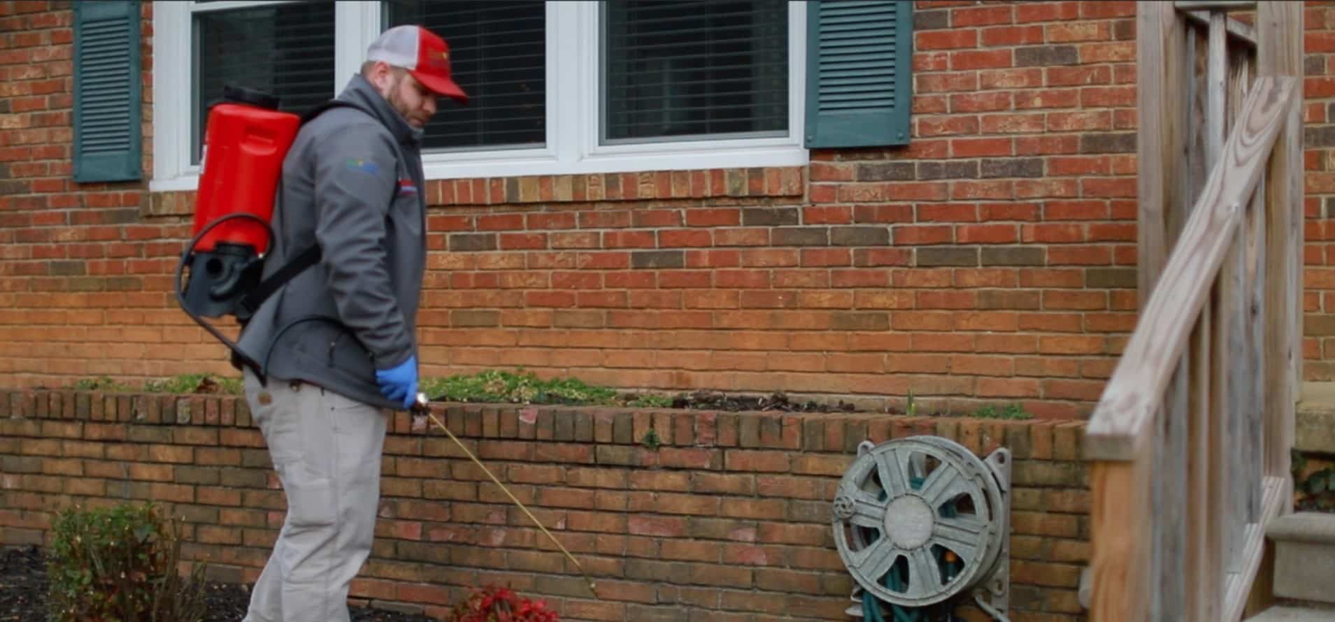 Pest Control Kingsport Tennessee at Kelly Christ blog