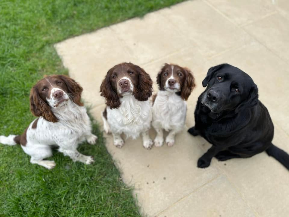 Oxfordshire Boarding Kennels