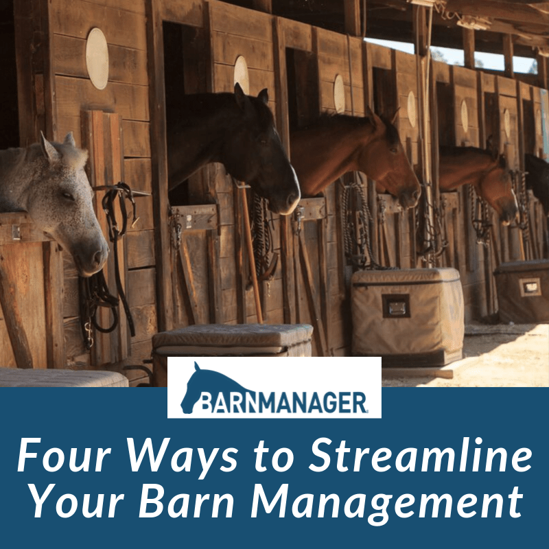 Four Ways to Streamline Your Barn Management BarnManager