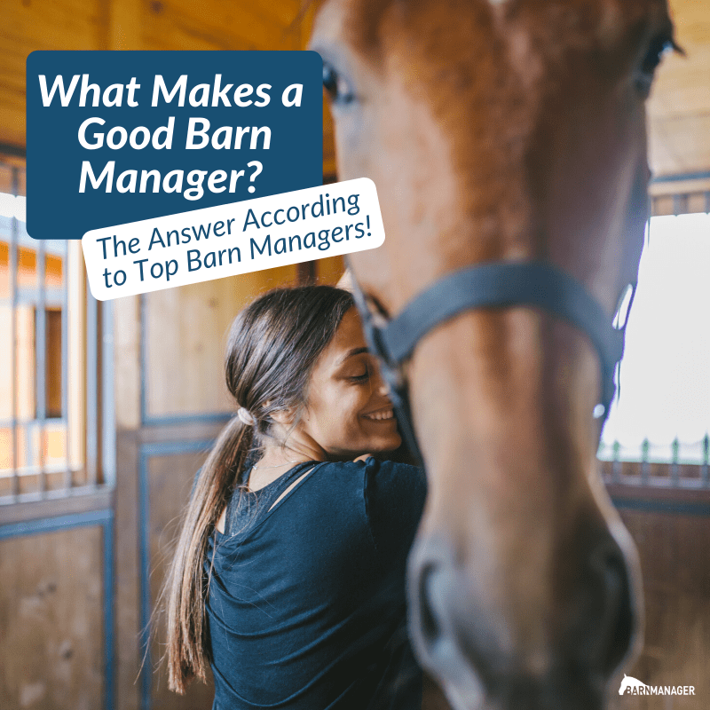What Makes a Good Barn Manager? The Answer According to Barn Managers