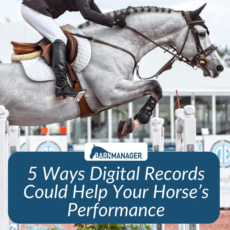 Five Ways Digital Records Could Help Your Horse’s Performance BarnManager