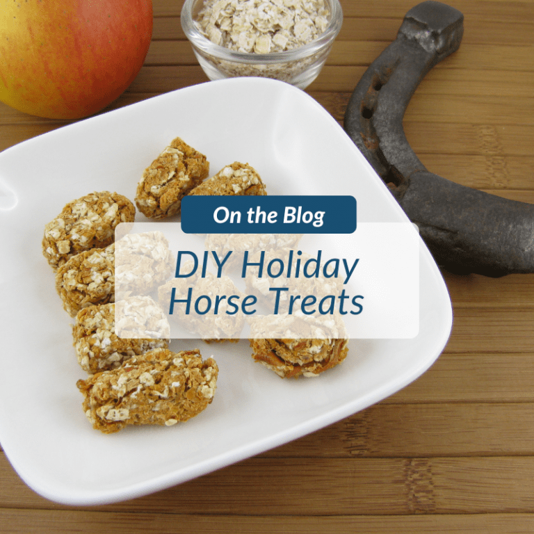 DIY Holiday Horse Treats BarnManager