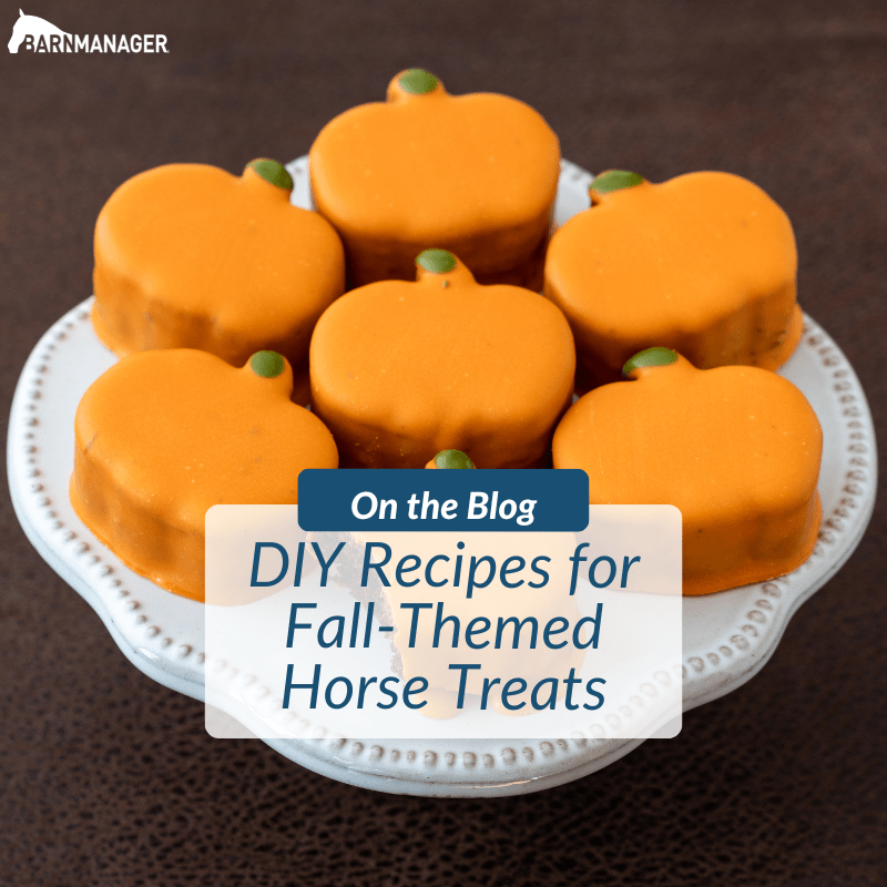 DIY Recipes for FallThemed Horse Treats BarnManager