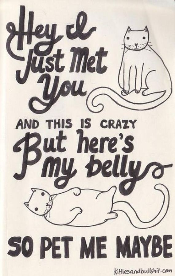 Classic Songs Made Better With Cats Barnorama