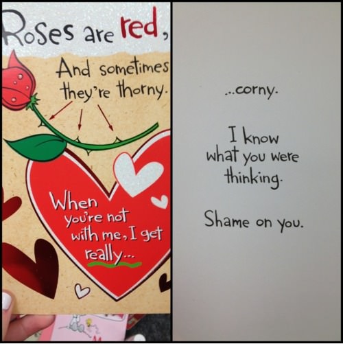 The Best “Roses Are Read” Poem I’ve Ever Read Barnorama