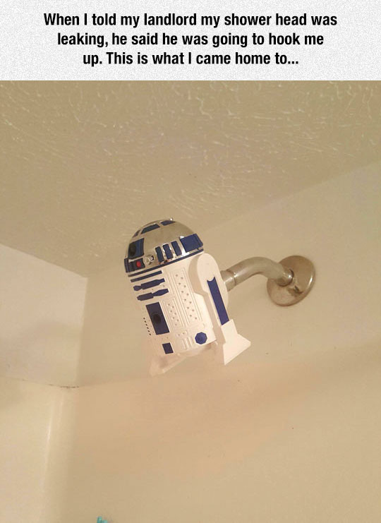 Broken Shower Gets The Best Fix Barnorama