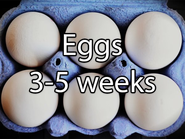 18 Foods You Can Still Eat Past The Expiration Dates Barnorama