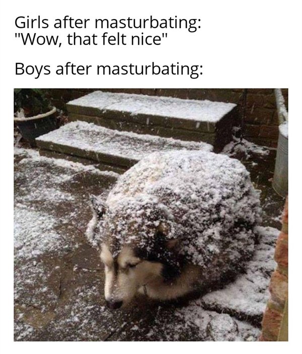 26 Random Funny Memes Barnorama