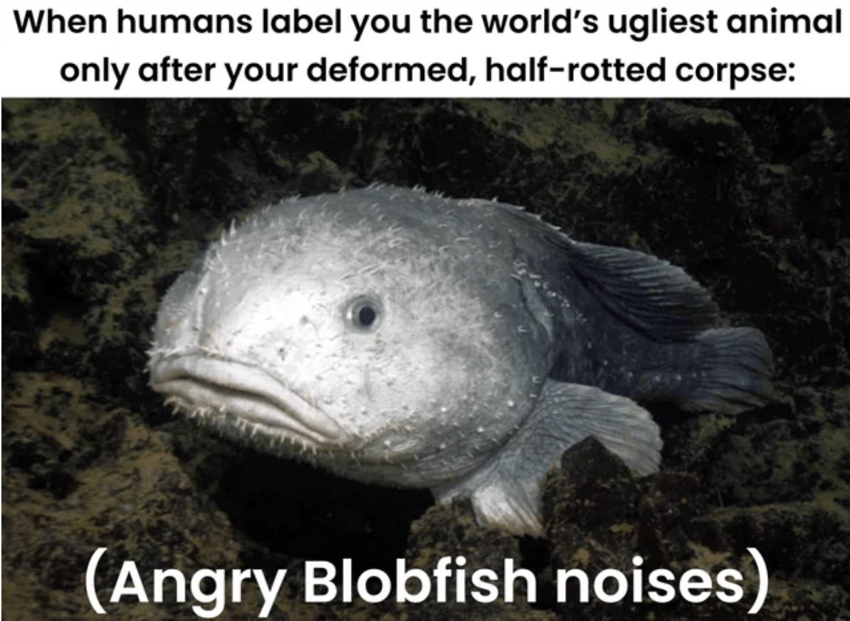 30 Memes & Tweets That Just Broke the Barnorama