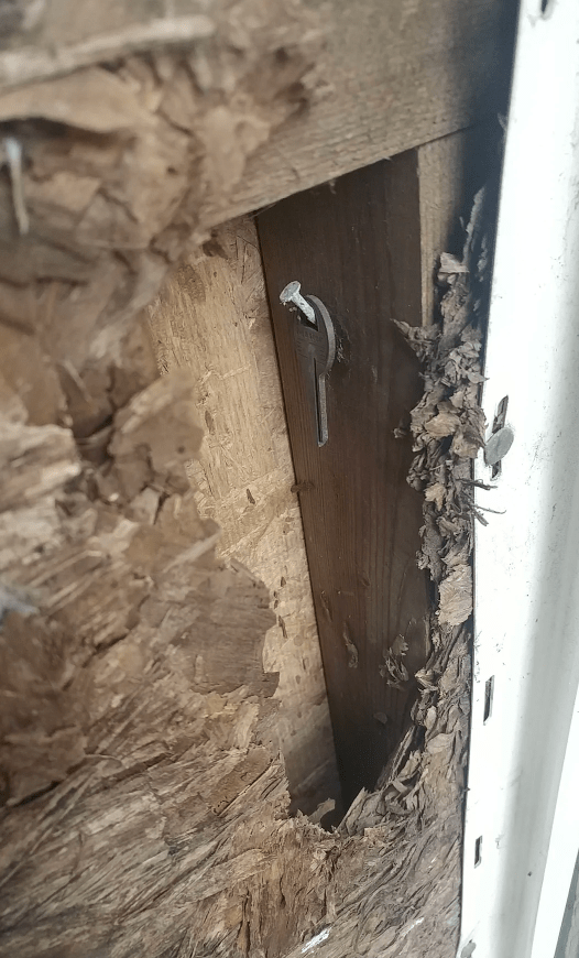 21 Oddities Discovered Within the Depths of Drywall Barnorama