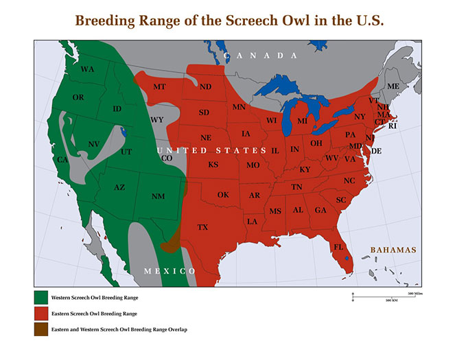 Barn Owl Distribution by State Owl Populations Barn Owl Box Company