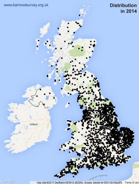 State of the UK Barn Owl Population 2014 The Barn Owl Trust
