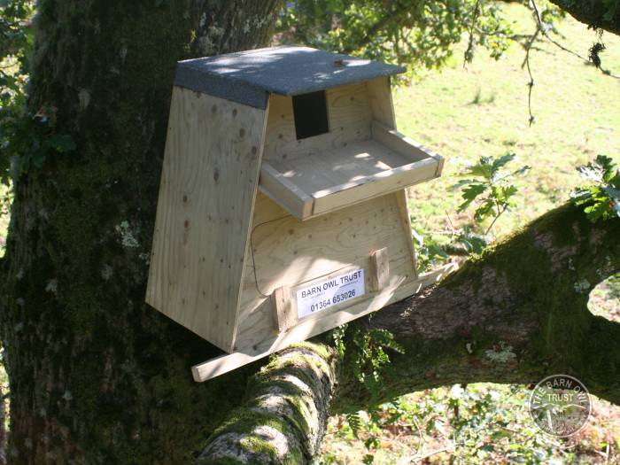 Barn Owl boxes for trees The Barn Owl Trust