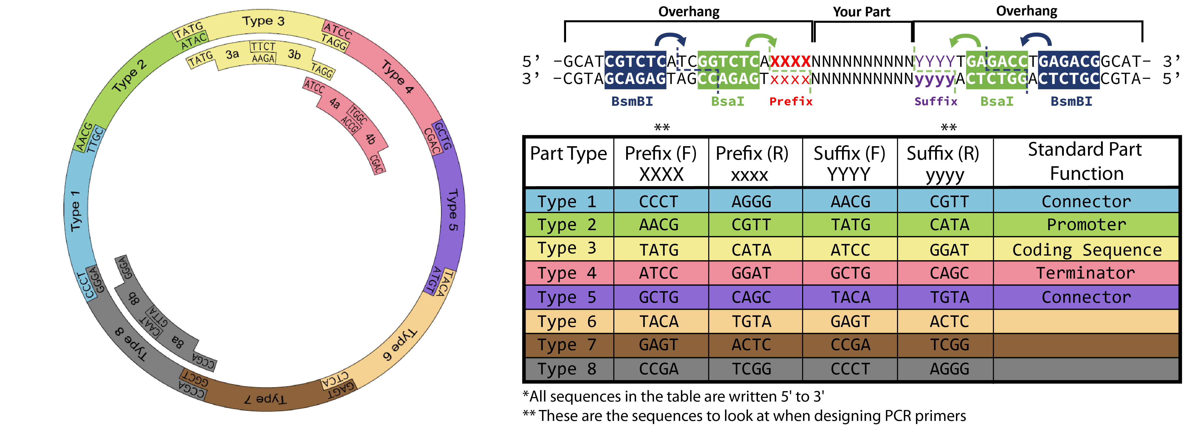 Barrick Lab ProtocolsBTKDesignANewPart