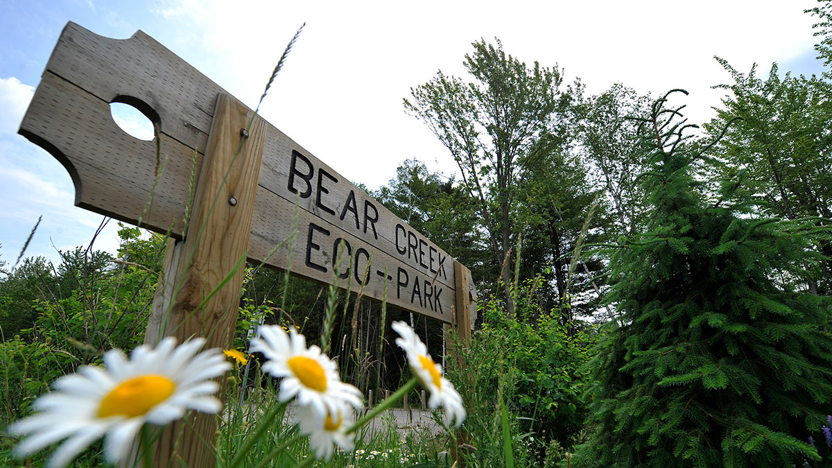 Bear Creek Eco Park City of Barrie