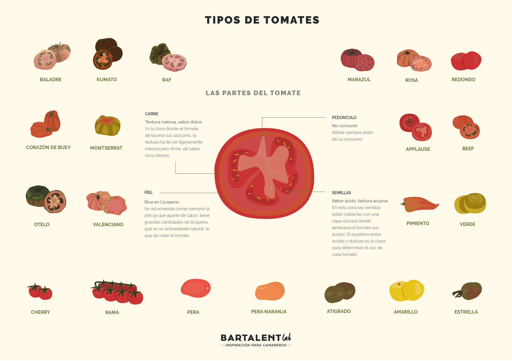 Tomate descubre los beneficios y tipos de tomates Bartalent Lab