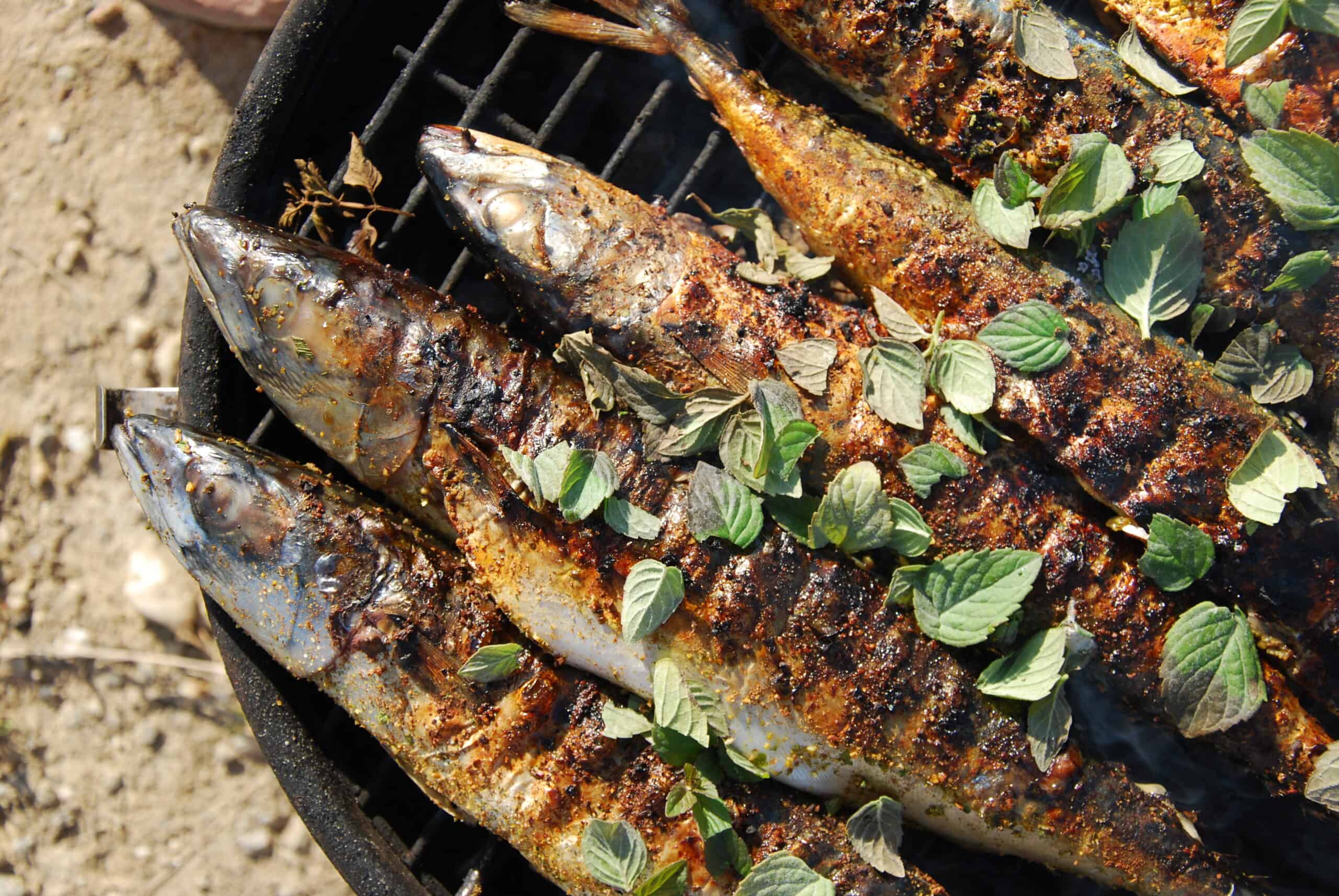 Whole BBQ Mackerel with Lime and Chilli BM Independently Minded