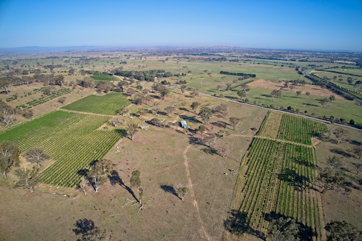 Gallery Barton Estate