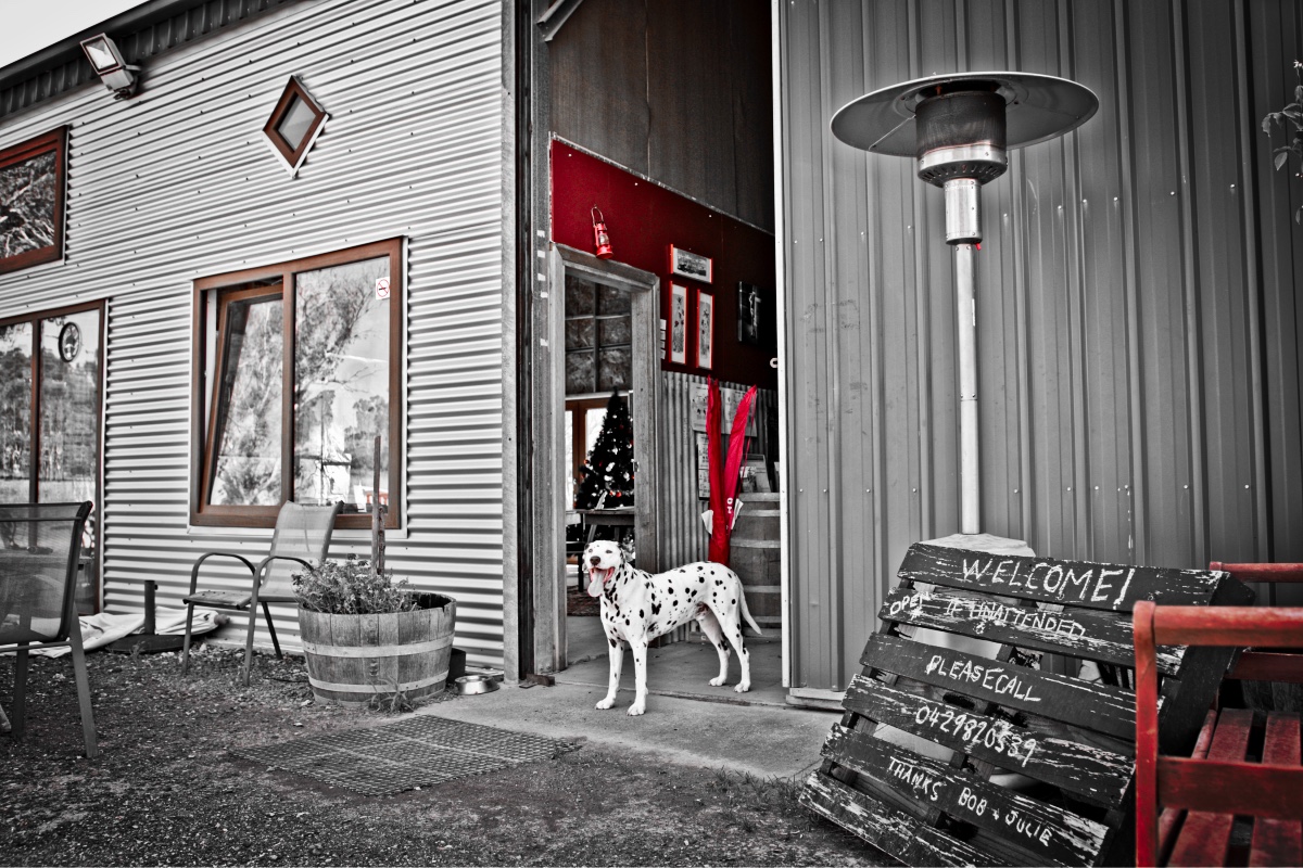 Visit Us Barton Estate