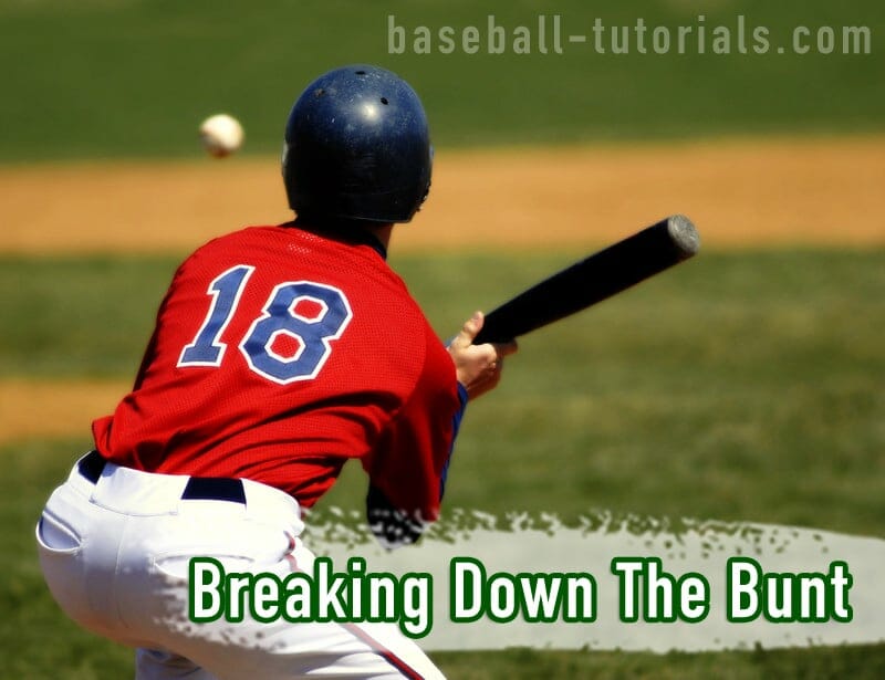 TBall Throwing Drill Baseball Tutorials