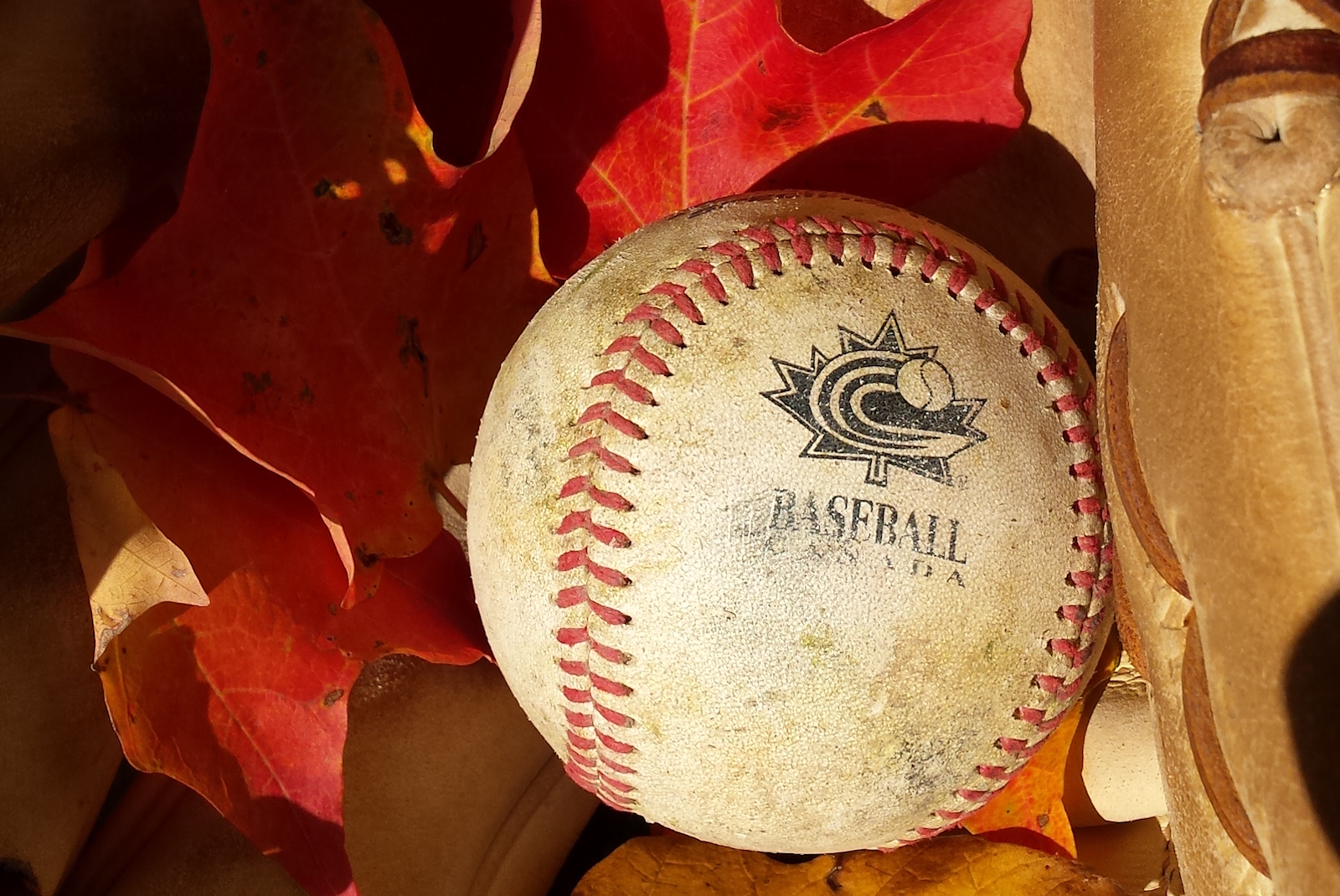 Baseball Canada Baseball Canada Fall Convention set for Fredericton