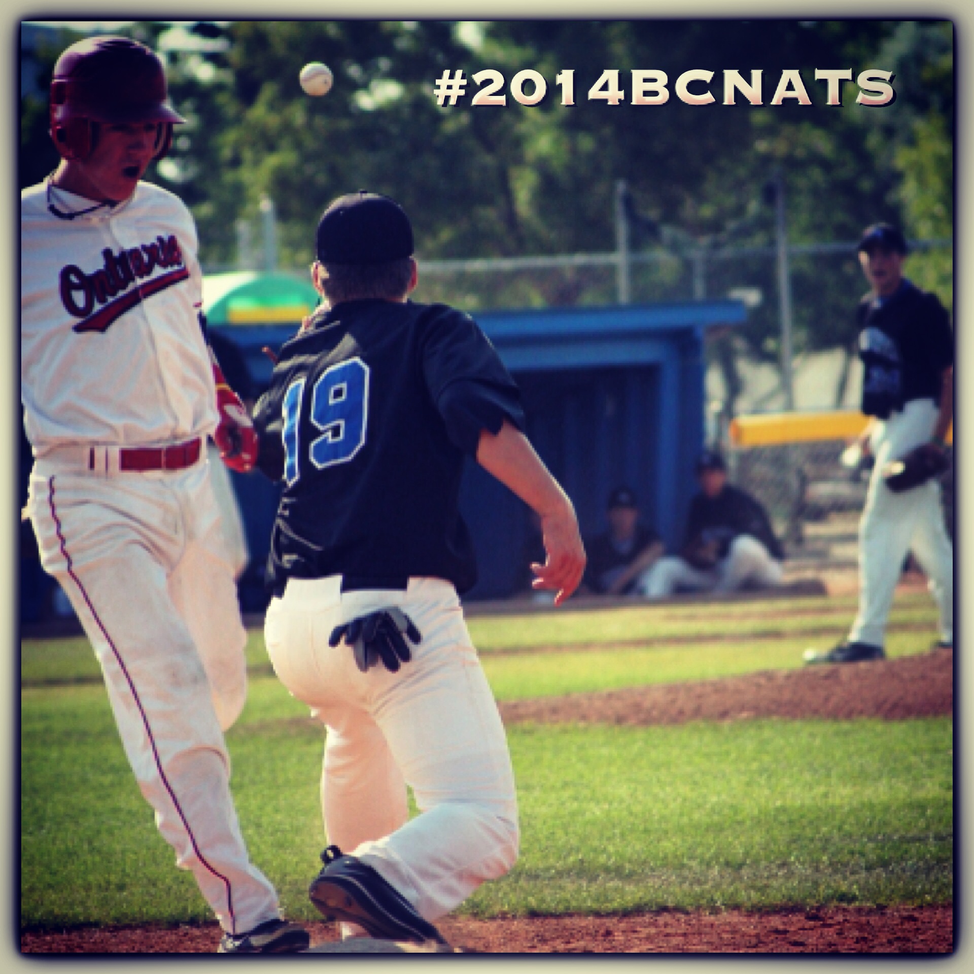 Baseball Canada News