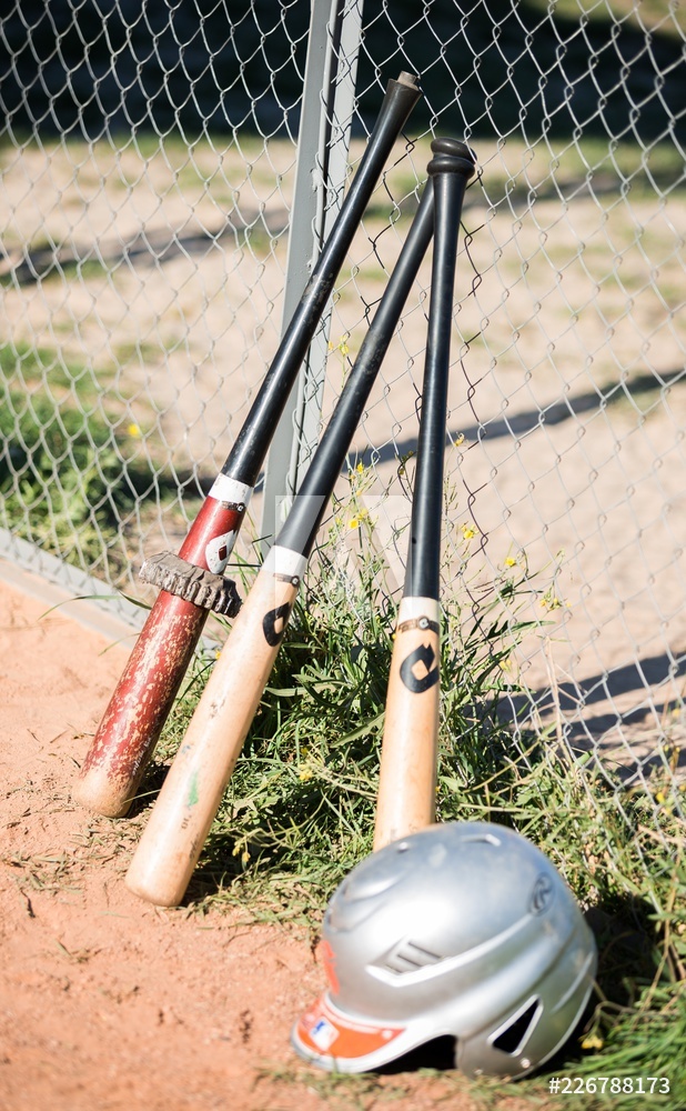 The Evolution of Baseball Bats