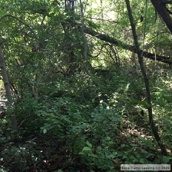 Wayne County Indiana Hunting Lease Property 3796 Base Camp Leasing