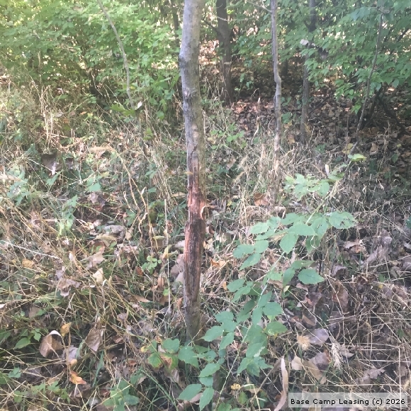 Marion County Indiana Hunting Lease Property 7917 Base Camp Leasing