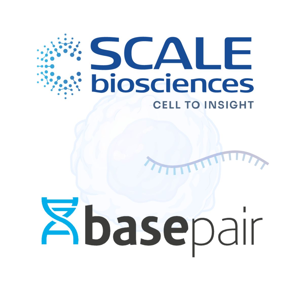 PRESS RELEASE Scale Biosciences and Basepair to Democratize Single