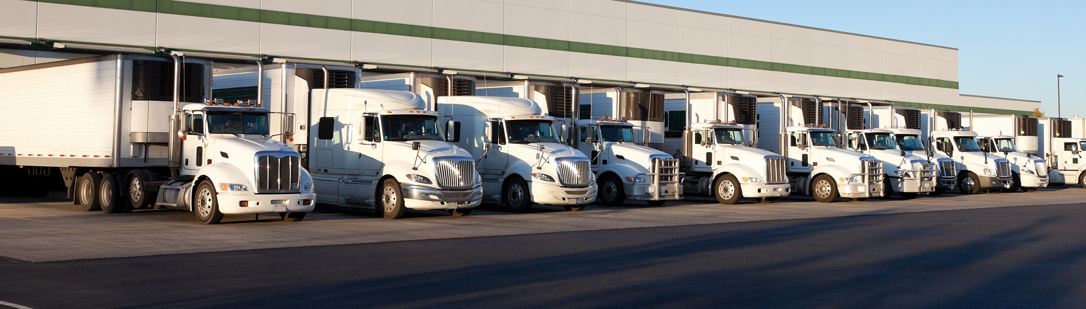 Distributors Base Plastics