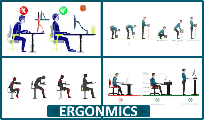 Examples Of Ergonomics lupon.gov.ph