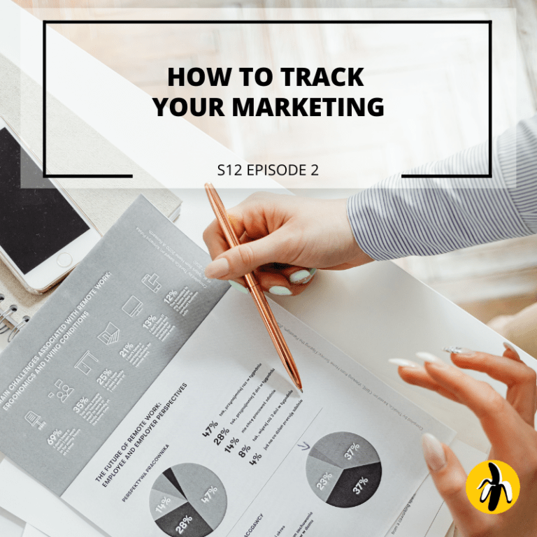 S12 EPISODE 2 How to Track Your Marketing Basic Bananas