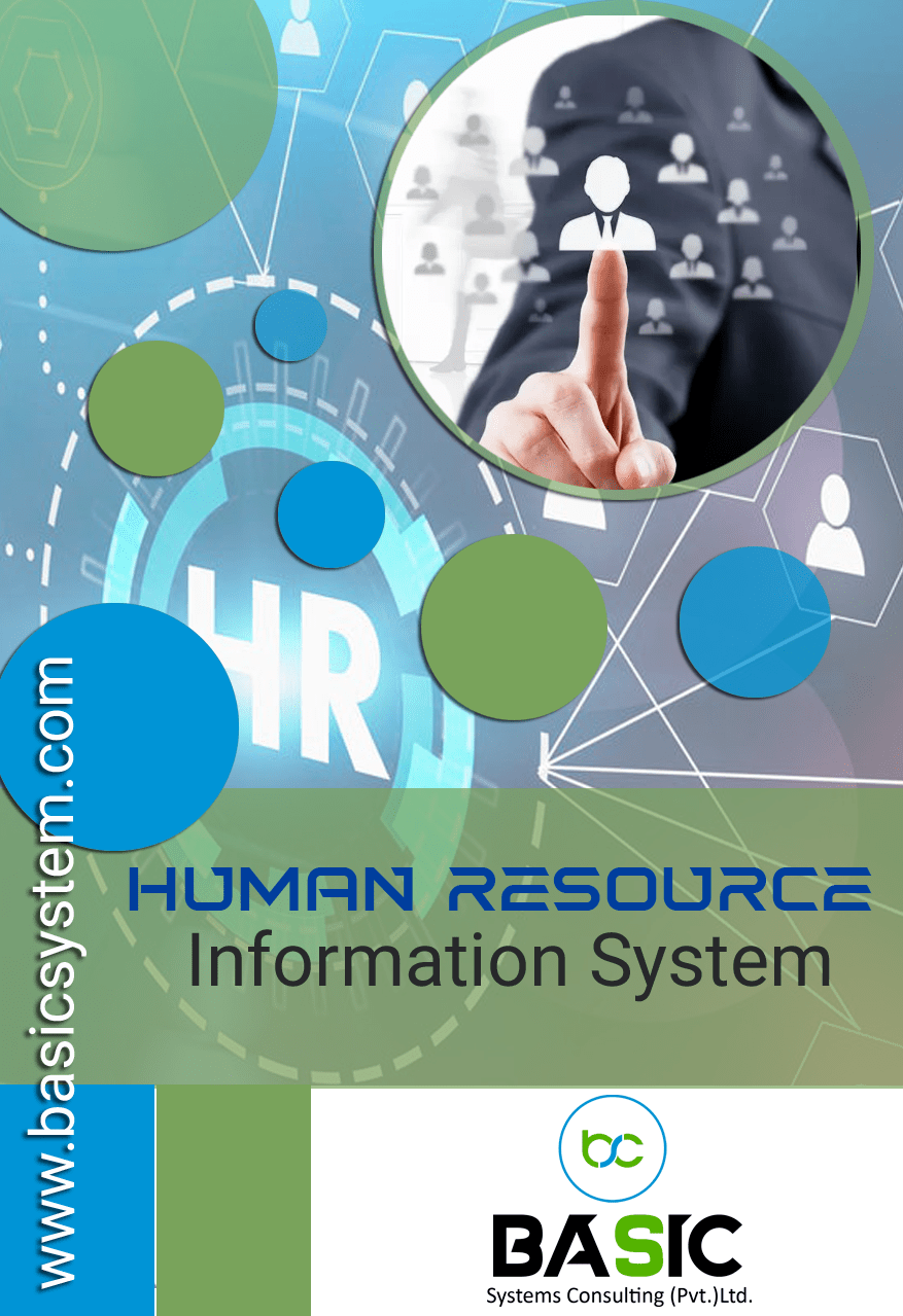Human Resource Information System Basic System Consulting