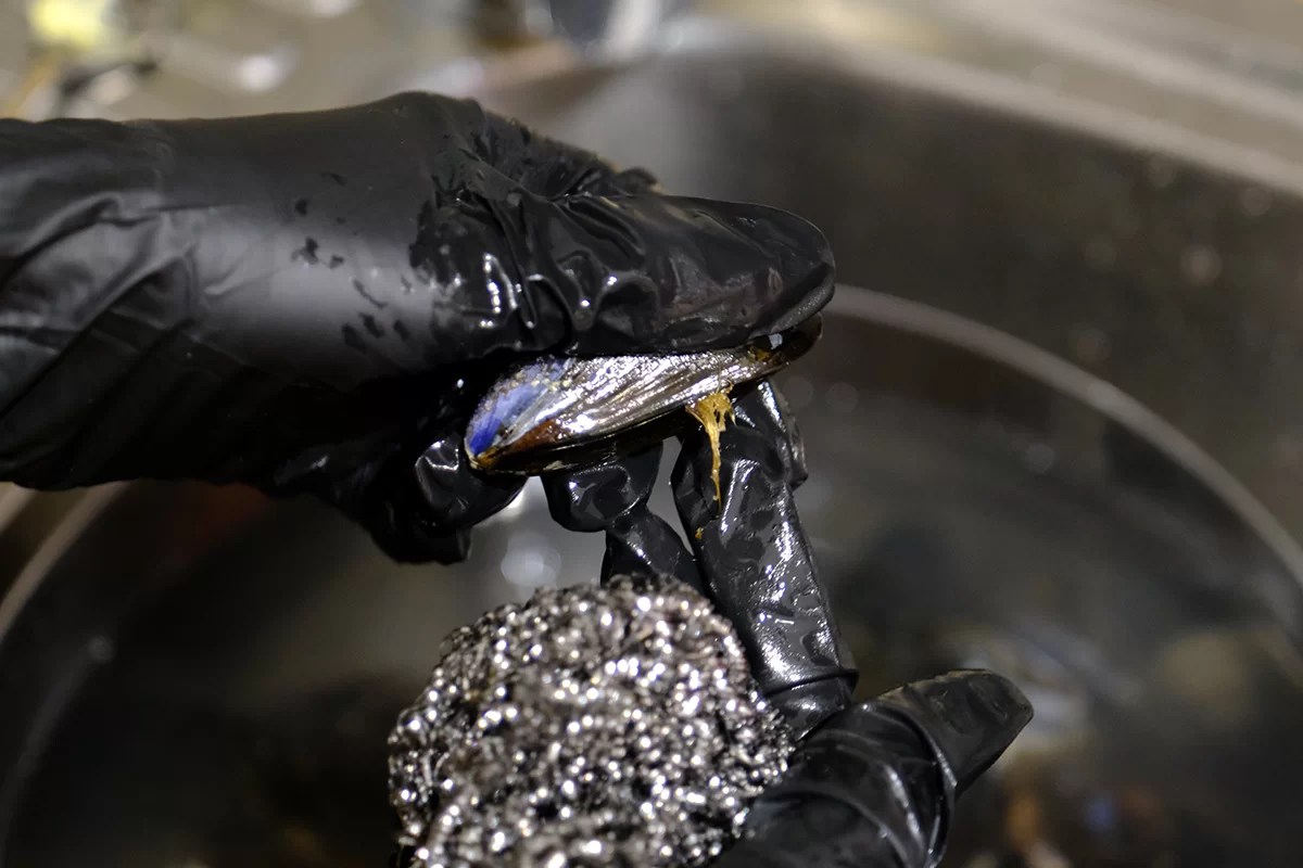How To Clean Mussels An Easy StepByStep Guide Basil Bunch