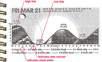 Tides And Currents | Bay Area Sea Kayakers