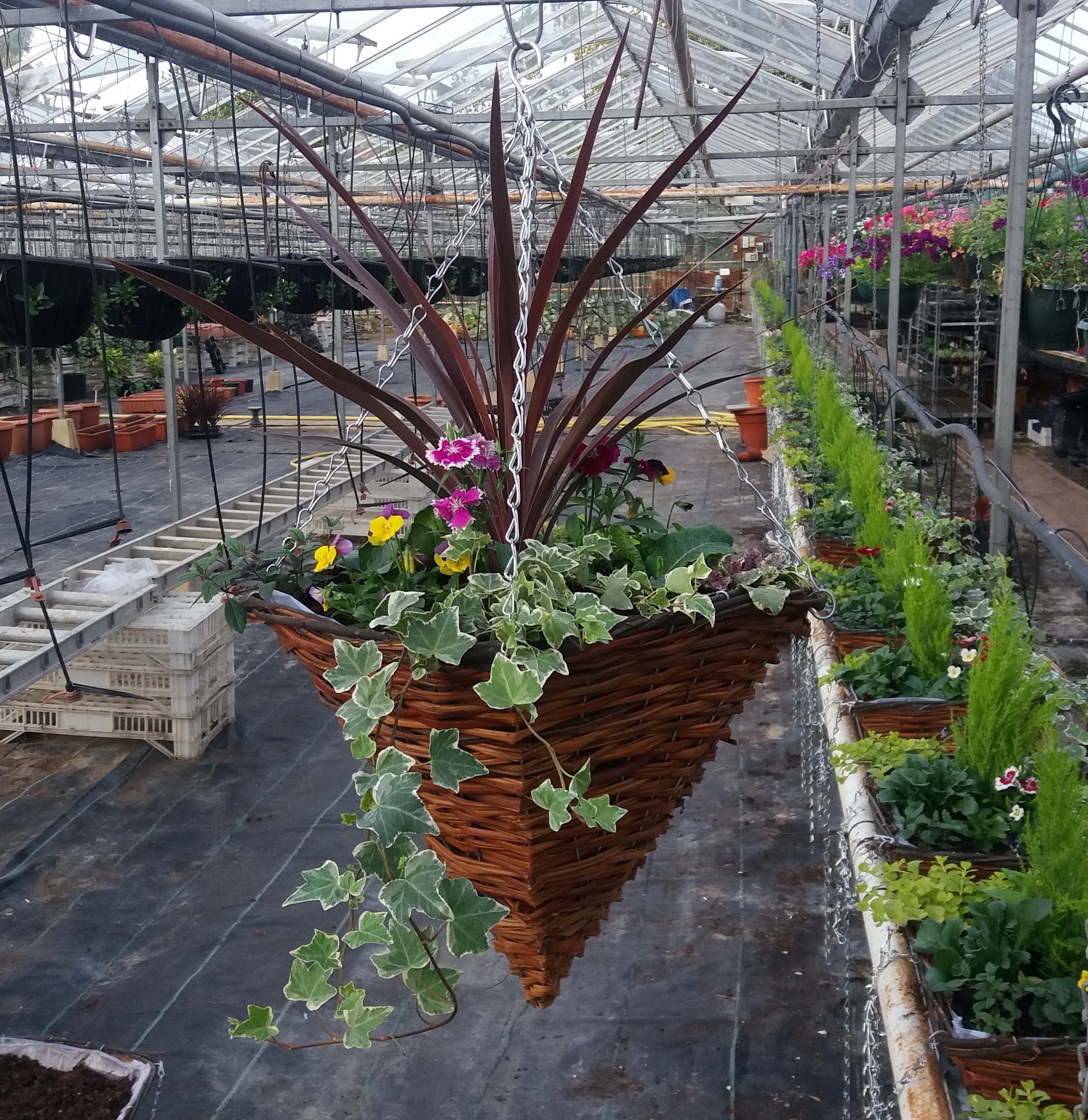 14" Cone Baskets In Bloom