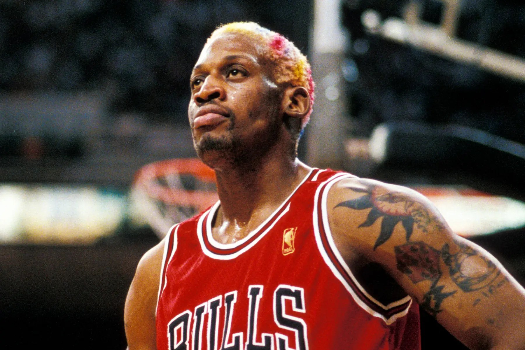 Dennis Rodman, le ver est dans le fruit