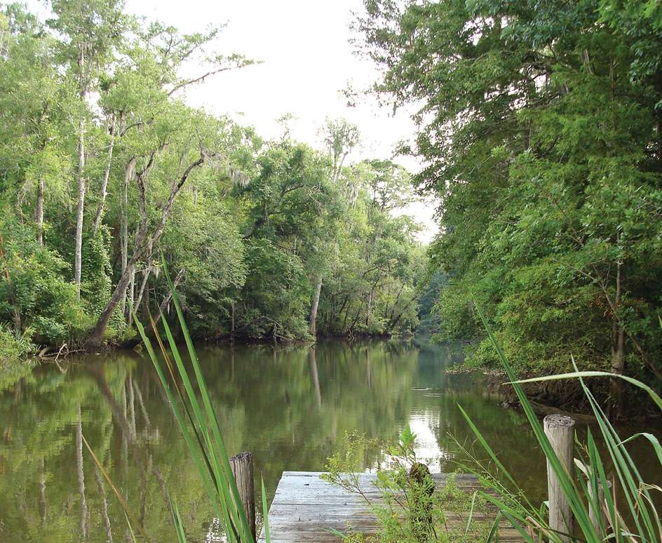 Alabama’s MobileTensaw River Delta Bassmaster