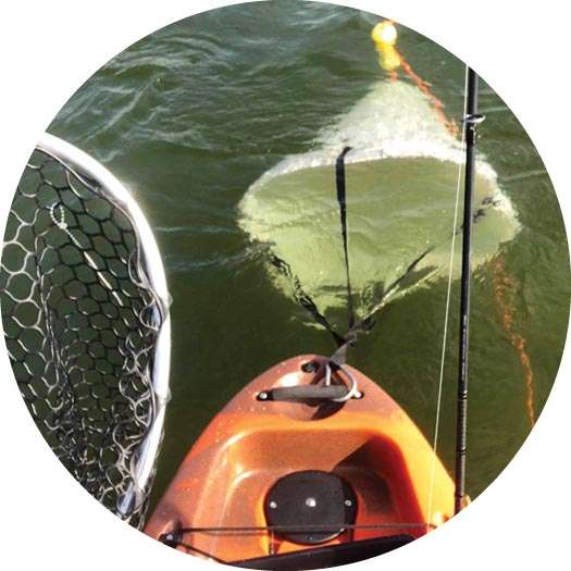 Kayak drift anchor control Bassmaster