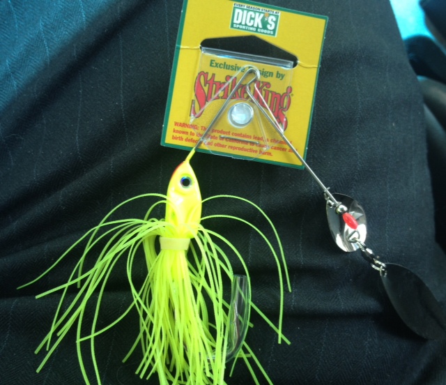 Best Lure/technique For Windy Conditions And Muddy Water Fishing