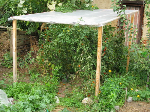 Bastelitis.de » Tomaten – Längere Ernte Durch Regenschutz?
