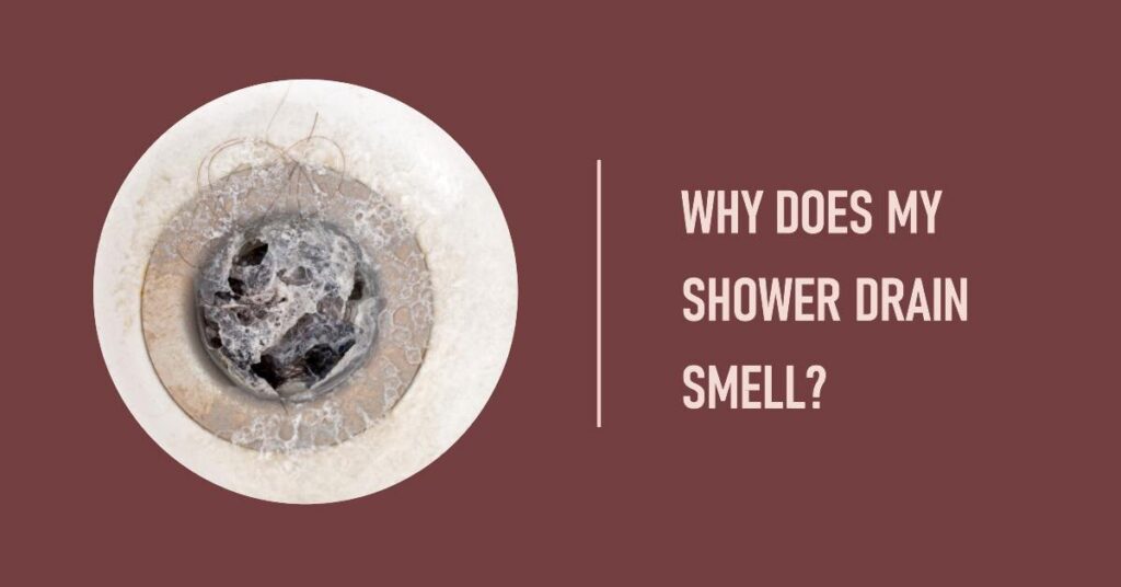 Why Does My Shower Drain Smell? And How To Fix It! Bath Arcadia