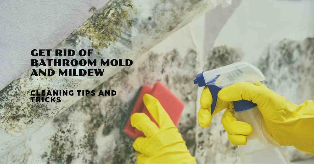 How to Clean Bathroom Mold and Mildew