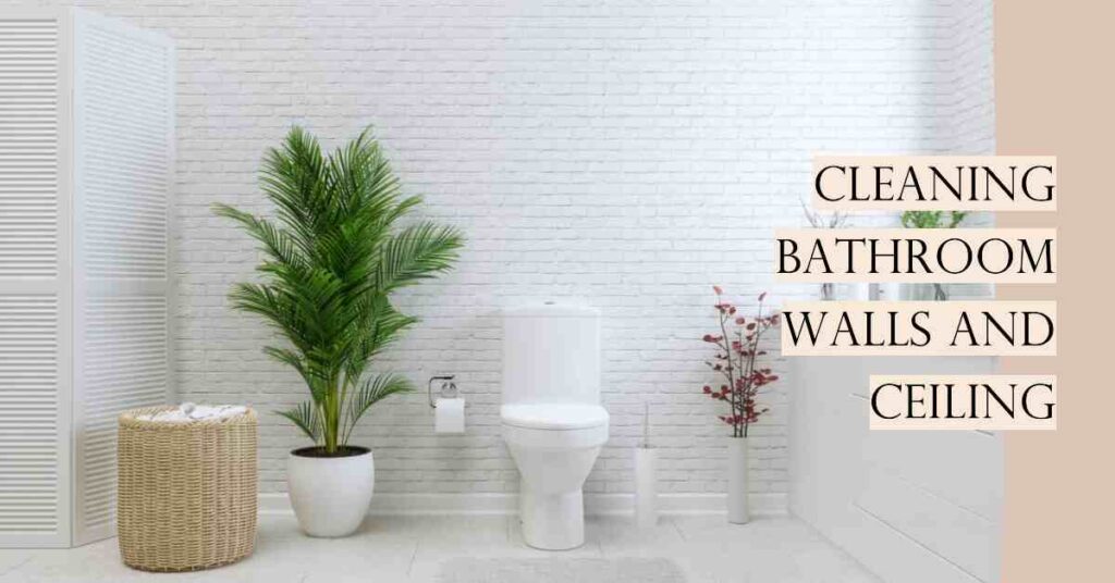 How To Clean Bathroom Walls And Ceiling Bath Arcadia