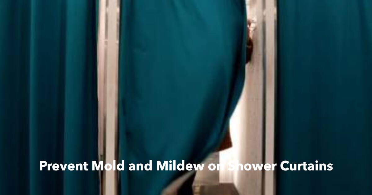 How To Prevent Mold And Mildew On Your Shower Curtain Bath Arcadia