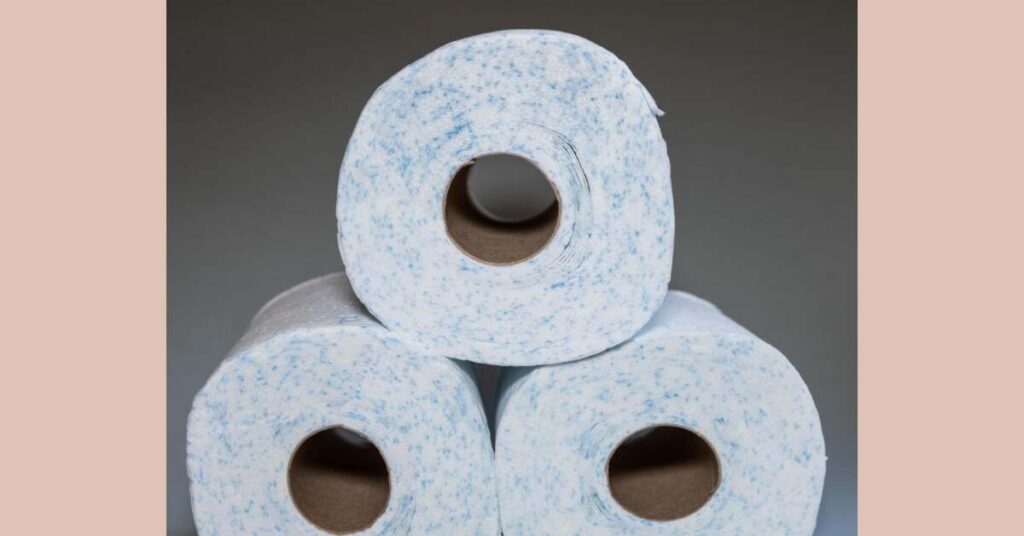 What Did People Use Before Toilet Paper? Bath Arcadia