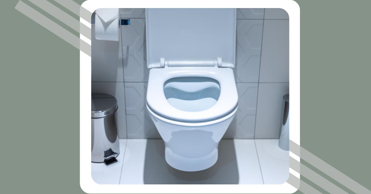 Why Are Toilets Made of Porcelain 7 Surprising Reasons