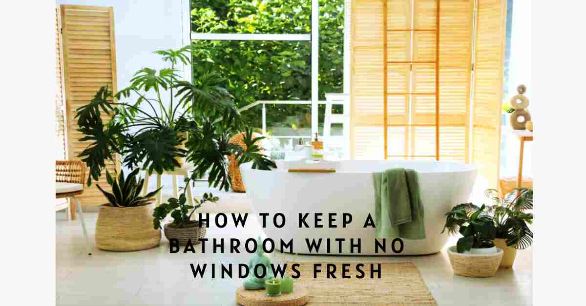 A Comprehensive Guide To Keeping A Windowless Bathroom Fresh Bath Arcadia