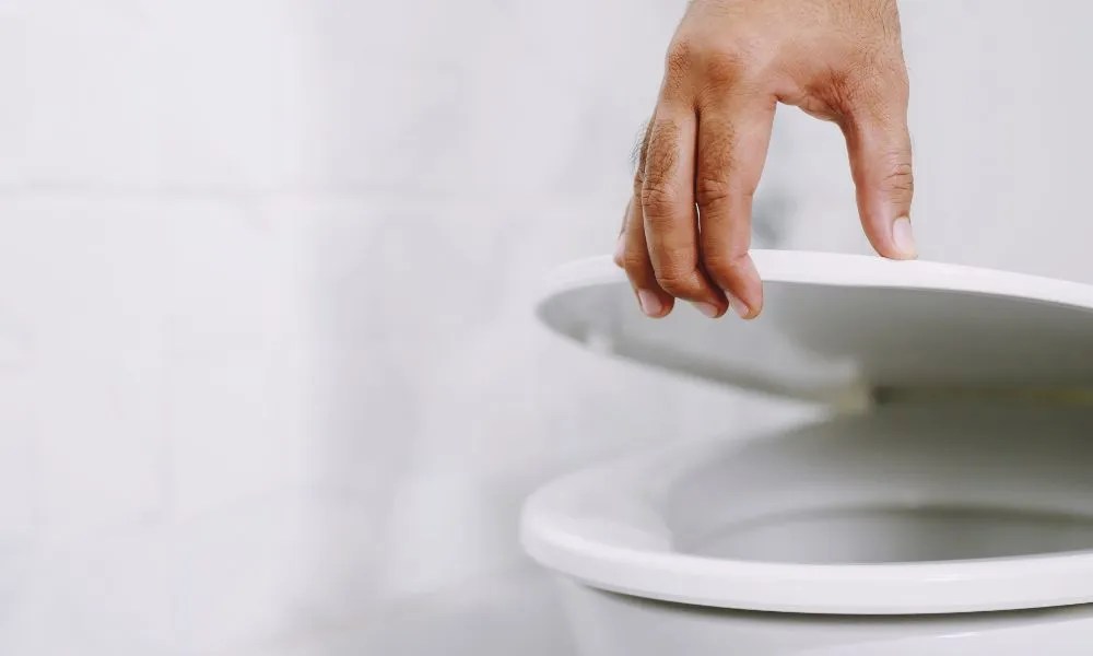 Should You Close the Toilet Lid Before Flushing Bathroom City